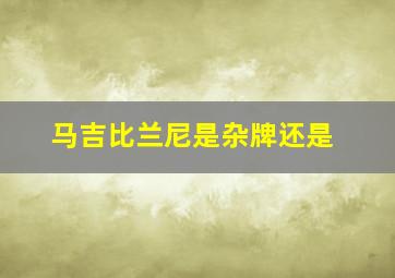马吉比兰尼是杂牌还是