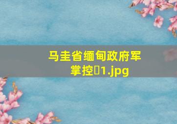 马圭省缅甸政府军掌控�