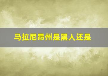 马拉尼昂州是黑人还是