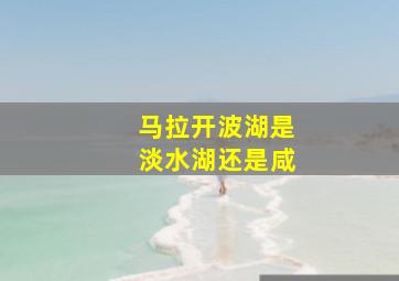 马拉开波湖是淡水湖还是咸