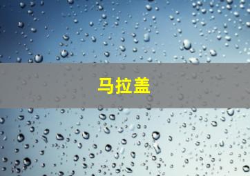 马拉盖