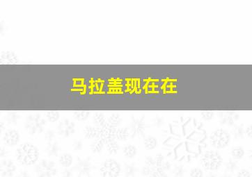 马拉盖现在在