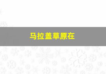 马拉盖草原在