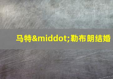 马特·勒布朗结婚