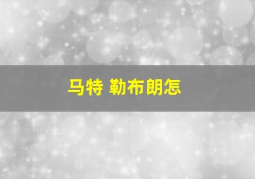 马特 勒布朗怎