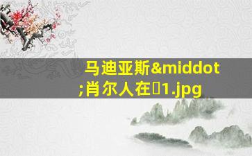 马迪亚斯·肖尔人在�