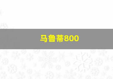 马鲁蒂800