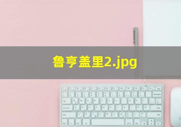 鲁亨盖里