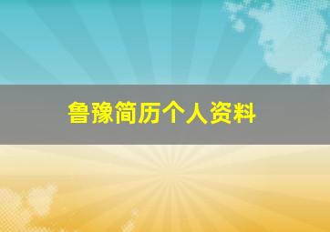 鲁豫简历个人资料