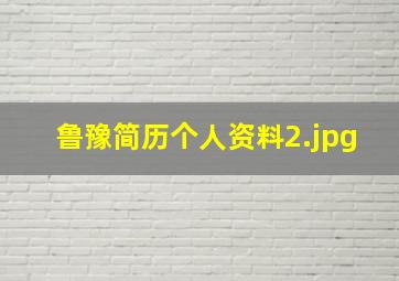 鲁豫简历个人资料