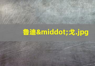鲁迪·戈