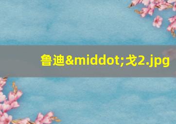 鲁迪·戈