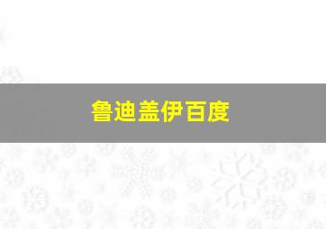 鲁迪盖伊百度