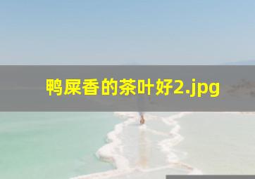 鸭屎香的茶叶好