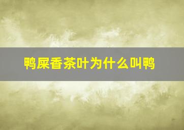 鸭屎香茶叶为什么叫鸭