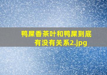 鸭屎香茶叶和鸭屎到底有没有关系