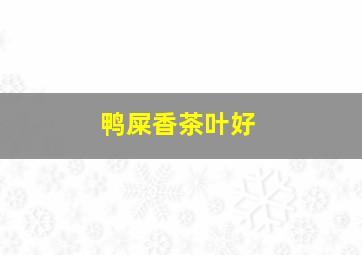 鸭屎香茶叶好