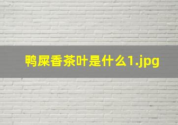 鸭屎香茶叶是什么