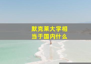 默克莱大学相当于国内什么