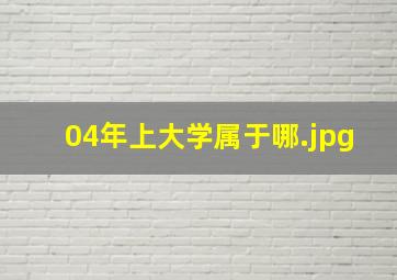 04年上大学属于哪