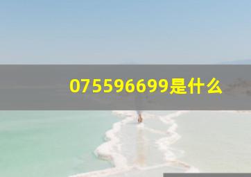 075596699是什么