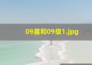 09届和09级