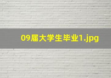 09届大学生毕业