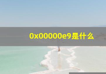 0x00000e9是什么