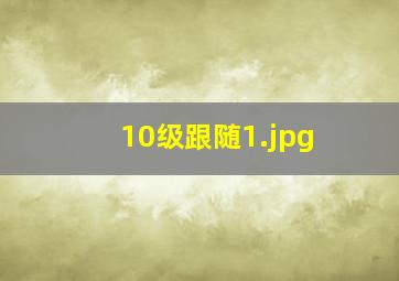 10级跟随