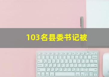 103名县委书记被