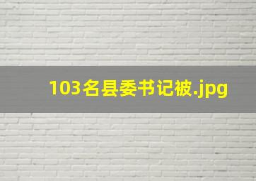 103名县委书记被