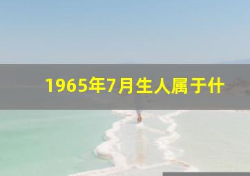 1965年7月生人属于什