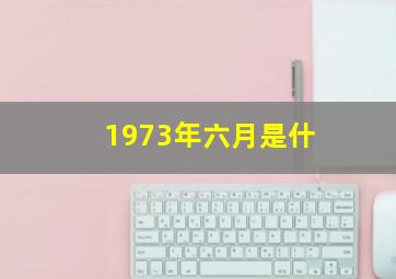 1973年六月是什