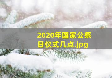 2020年国家公祭日仪式几点