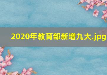 2020年教育部新增九大