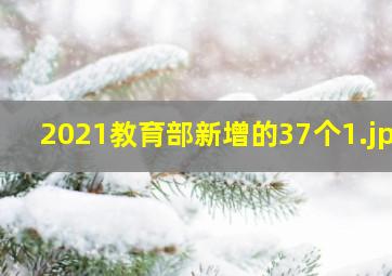 2021教育部新增的37个