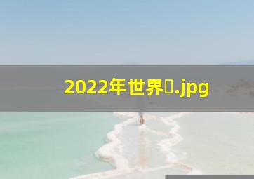 2022年世界�