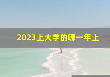 2023上大学的哪一年上