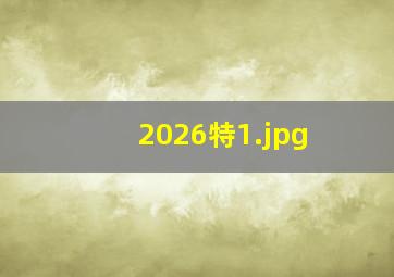 2026特