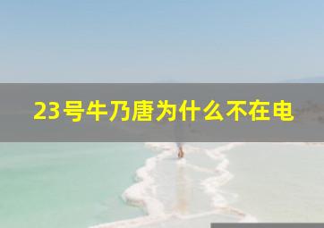 23号牛乃唐为什么不在电