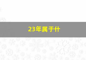 23年属于什