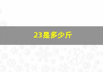 23是多少斤