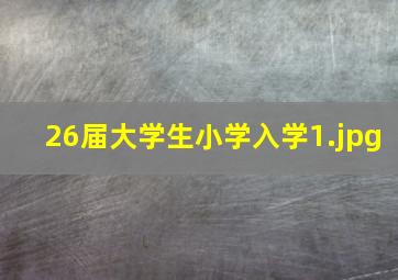 26届大学生小学入学