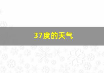 37度的天气