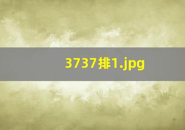 3737排