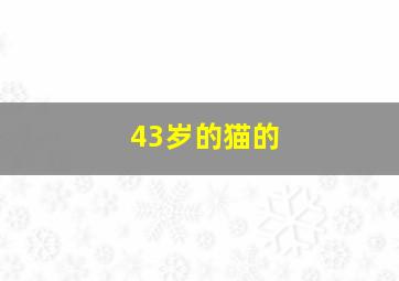 43岁的猫的