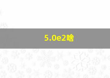 5.0e2啥