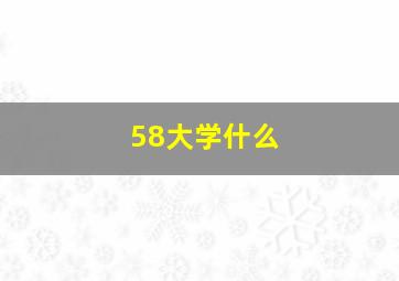 58大学什么