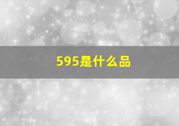 595是什么品