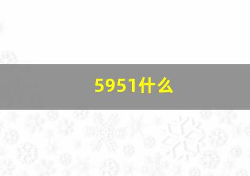 5951什么